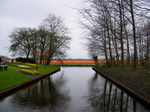 Holland3.jpg
