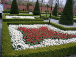 Holland6.jpg