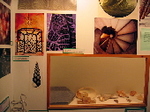 gaudi.jpg