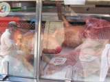 pig.jpg