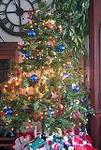 tree09.jpg