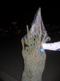 xmastree3.jpg