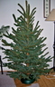 xmastree5.jpg